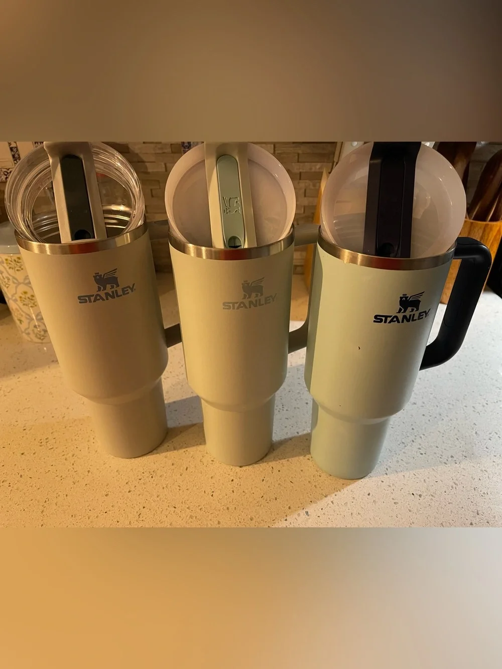 Three 40oz Stanley’s